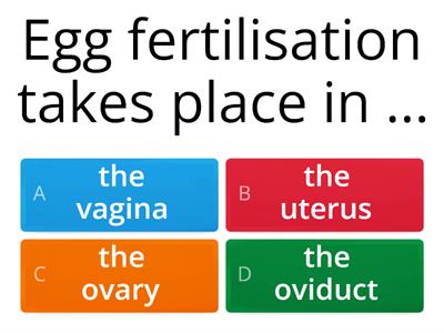 Reproductive System Quiz