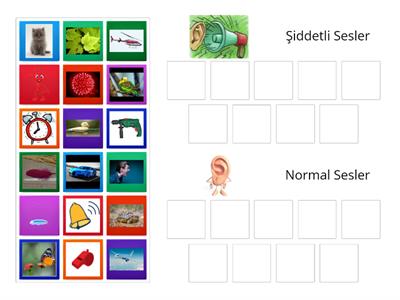 Şiddetli Sesler- Normal Sesler