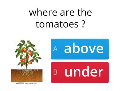  Prepositions of place (on, above)