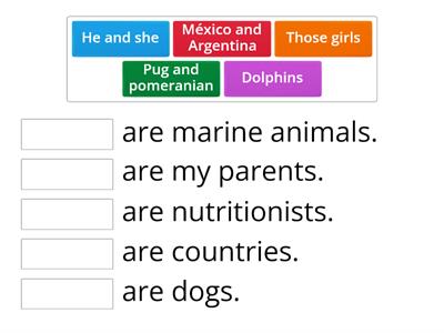 Noun + Are + Noun: Plural