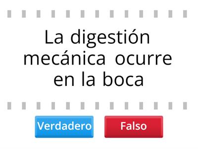 Nutrición heterótrofa