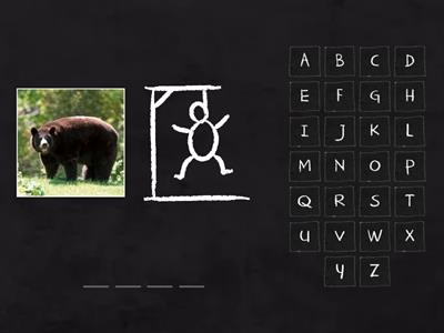 Hangman-Amazing animals