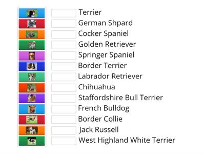 Match the dog breeds
