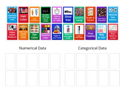 Numerical vs. Categorical Data