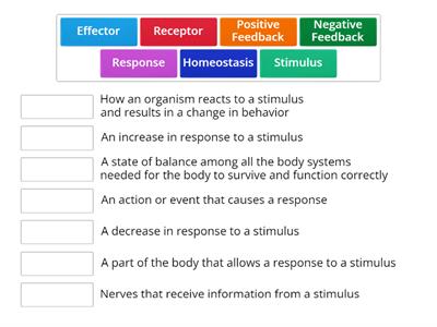 Homeostasis feedback - Teaching resources