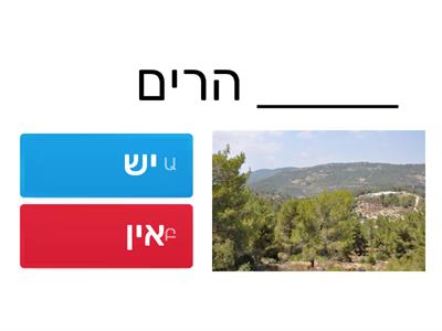 יש אין לרמה א' אלי