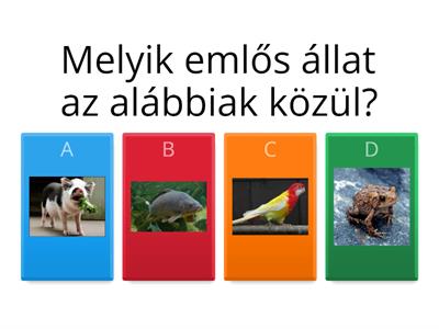 Ismeretlen szavak- gyakorlás