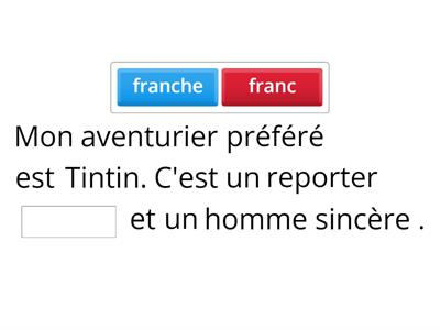 Les adjectifs irréguliers _Apprendre avec Tintin
