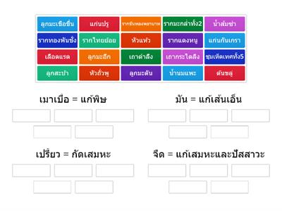 ตัวยา 9 รส (3)