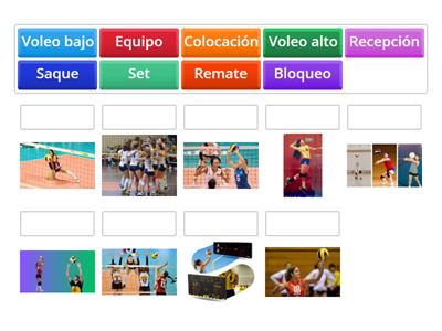 Voleibol en español Momento I