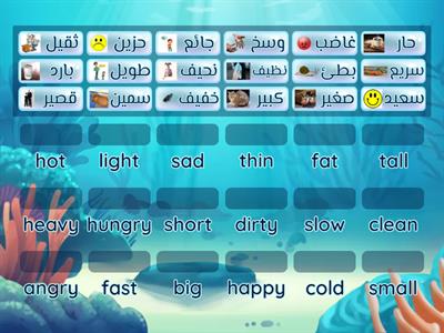 Adjectives in Arabic 