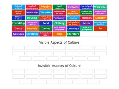 Visible/Invisible Culture