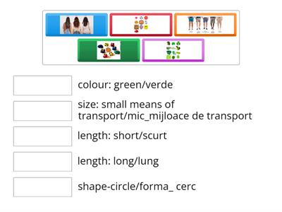 Storting criteria for creating sets of items/ Criterii de formare a multimilor (culoare, forma, lungime, marime)