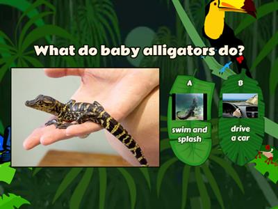 Discover  Baby Animals Epic Book Comprehension quiz