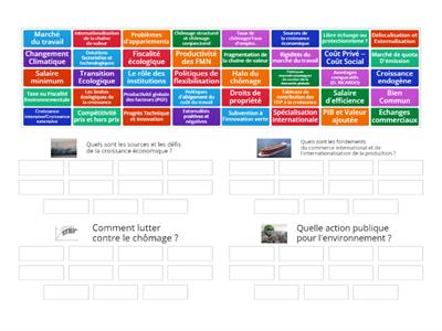 Réviser les notions cibles des chapitres de Science économique (+RC)