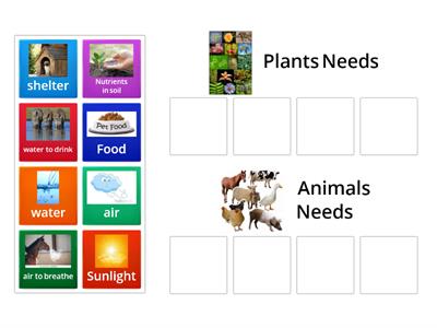  Plants and Animals Needs ( L.4)