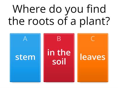 Parts of a Plant