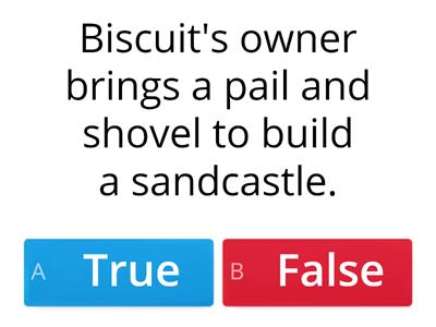 Answer True or False for each statements based on the story, Biscuit's First Day Beach.