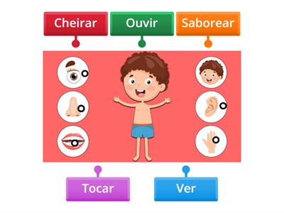 Partes do corpo e 5 sentidos - verbos
