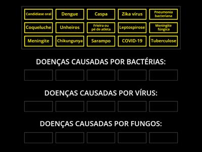 Doenças  comuns causadas por microrganismos: fungos, bactérias e vírus.