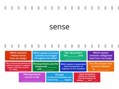 Chpt. 5-Science-Physiology-4/11/22