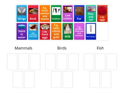 Mammals, fish and birds