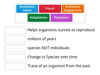 Evolution