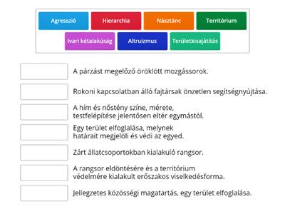 Részösszefoglalás: Társas viselkedés fogalmak