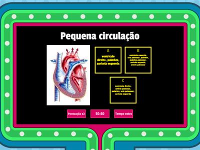 Sistema Circulatório Humano 1