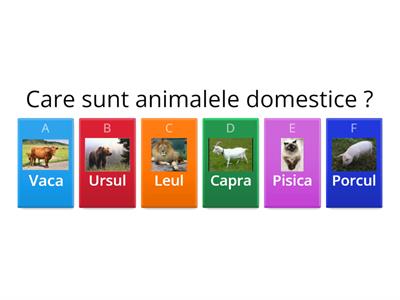 Animalele domestice și sălbatice