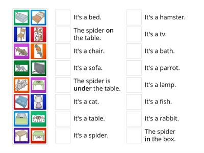 DD Unit 4 vocabulary