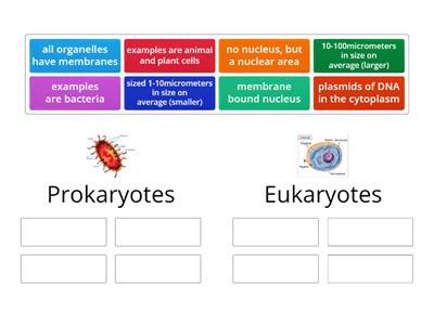 Eukaryotic and Prokaryotic cells