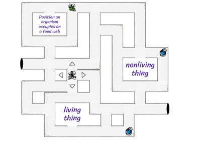 Vocab for food chains, web, and energy pyramids