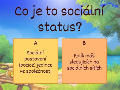 Sociální status a role