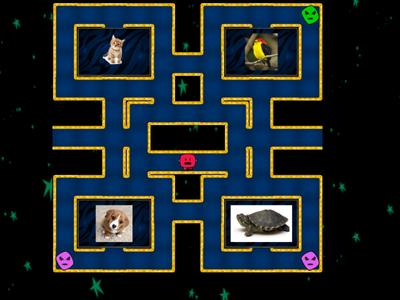 Pets Maze!