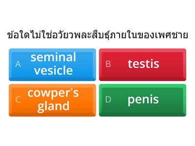 Quiz 1 - ระบบสืบพันธ์