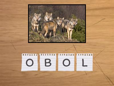 LOBOS