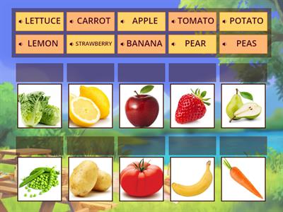 FRUIT AND VEGETABLES