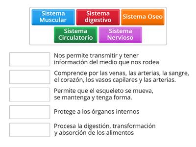 Descripción de los sistemas