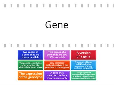 Genetic Terminology