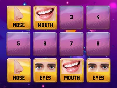 PARTS OF THE FACE MEMORY GAME - NT1