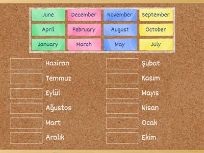 months/ aylar