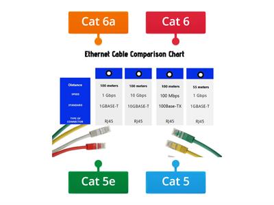 A+ 1101 Cat Cables