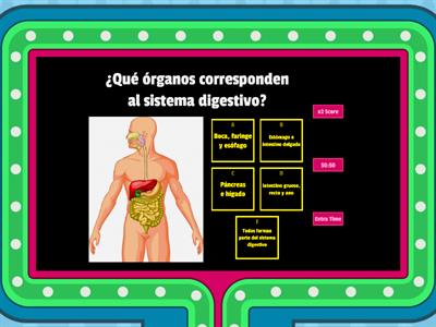  Sistema digestivo