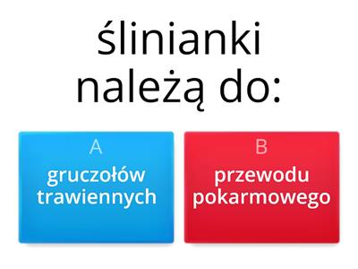 przewód pokarmowy czy gruczoły trawienne