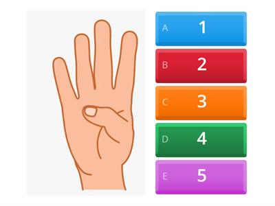 Number Sort 1-5 (hand, tally, domino, numberblock)