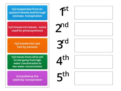 N5 Biology 2.5 Transpiration - Route of water