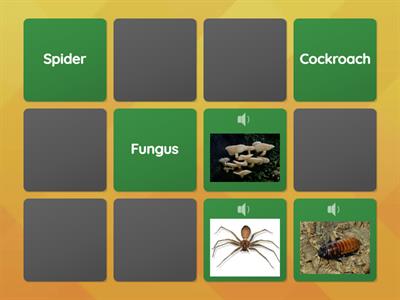  Classification of Animals and Fungus
