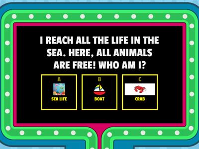 Sea Life Quiz - Children's Day