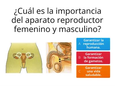 Funciones de aparato reproductor femenino y masculino.